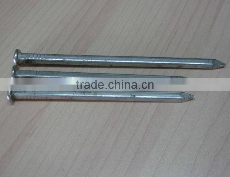 Square Shank Boat Nail with Factory Price