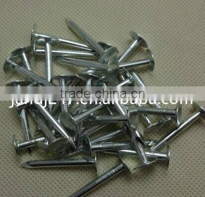 Galvanized Cupper Nails with Factory Price