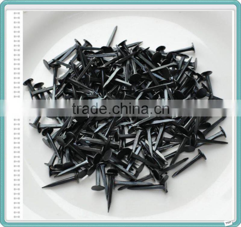 Flat Round Head Shoe Tacks Nails/Shoe Tacks