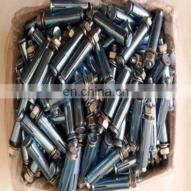 Carbon steel and SS.G304/316 Wedge Anchor stainless steel expansion anchor bolt
