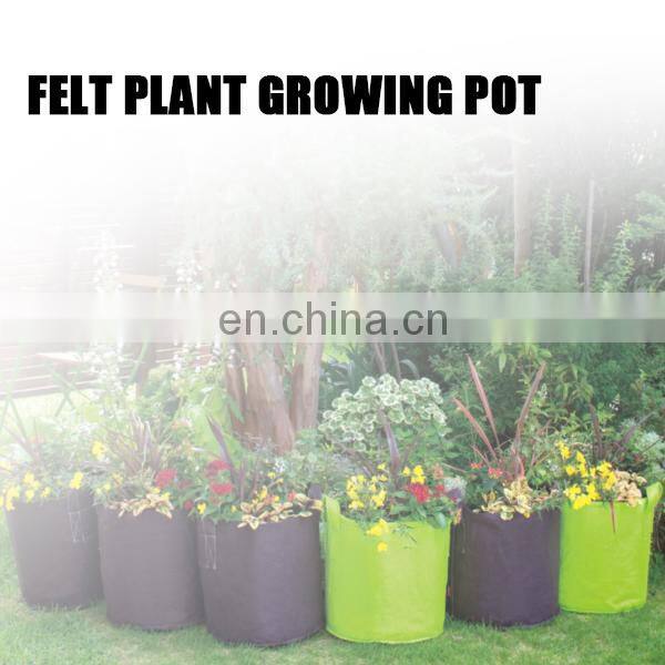 eco-friendly products planter grow bag felt fabric