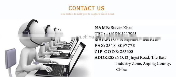 Lowest price 1/4 inch galvanized chicken wire mesh