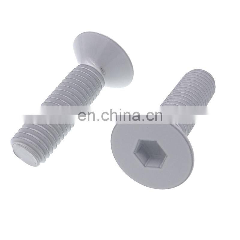 Resistant tamper proof safety Security bolt secure anti theft bolt with nut