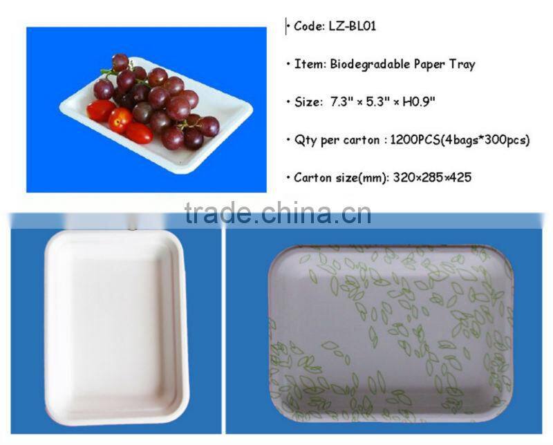 Fancy 100% Tree-free Biodegradable Bagasse Paper Small Fruit Tray