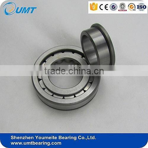 High Precision Cylindrical Roller Bearing NU1005