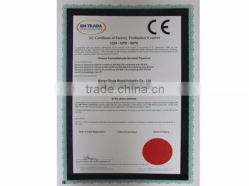 15mm container flooring plywood hot press