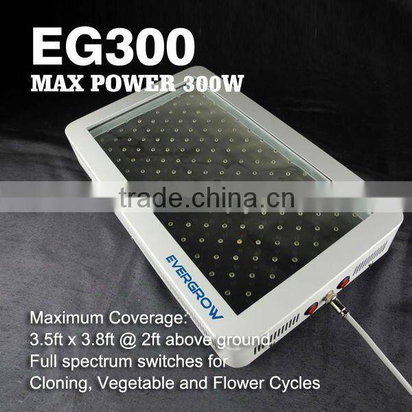 EG 100W led grow light with 3W Chip LEDs