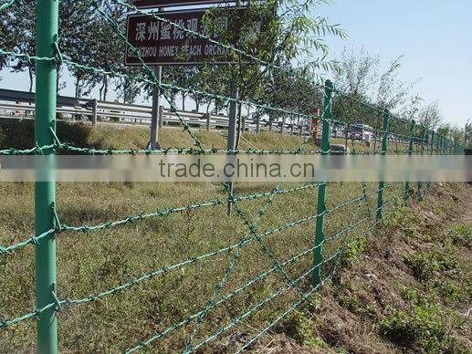 Hot dipped galvanized and powder coating barbed wire hot sale