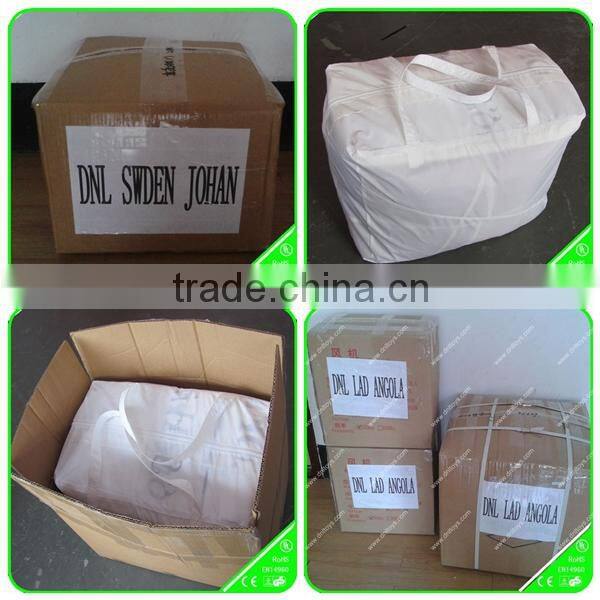 Latest design giant inflatable dinosaur