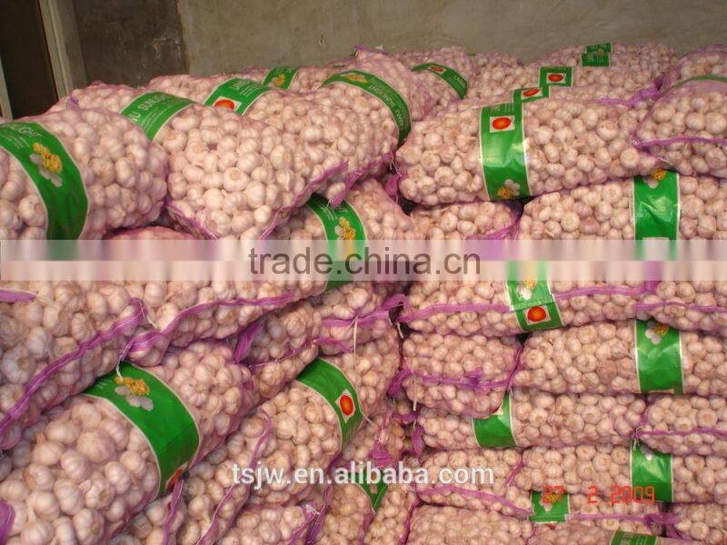 2015 No pollution and New harvested garlic