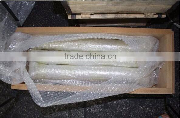 wolfram price tungsten carbide rod for sale