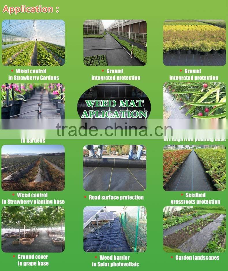 200 gsm mulch film ,plastic weed mat,PP woven fabrics in roll,weed block mats
