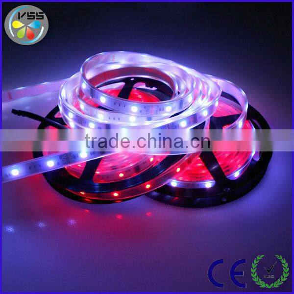 12v digital led strip dream lights
