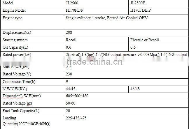 NG(natural gas)/ LPG generator