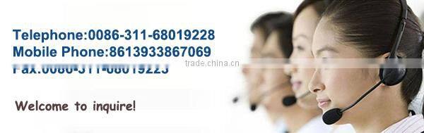 Trustworthy China supplier Galvanized Wire