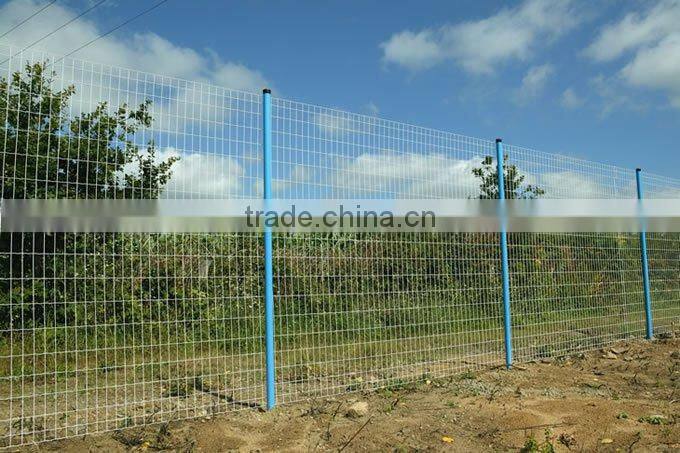 Euro Mesh Fence