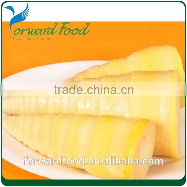 whole canned bamboo shoot in tin