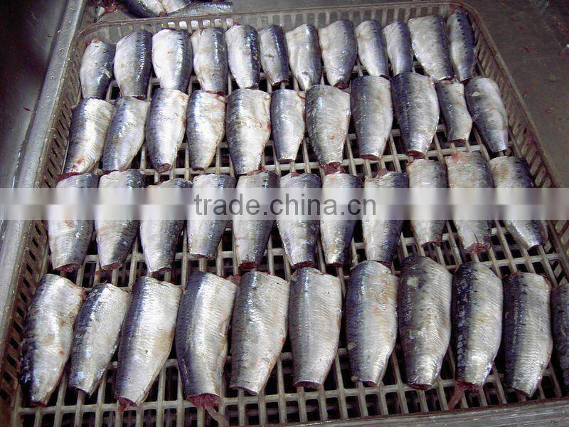 425g canned sardine fish in tomato sauce