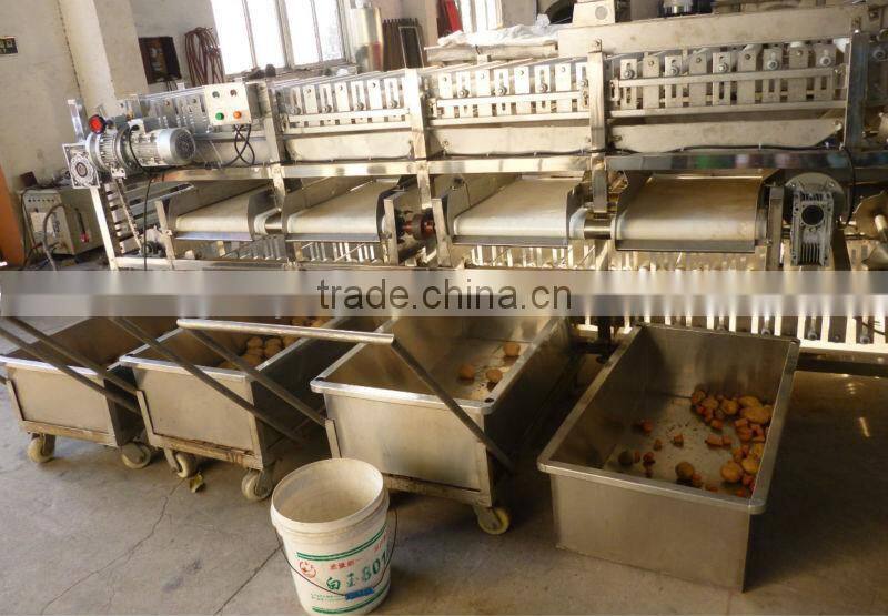 hot sale potato grading machine