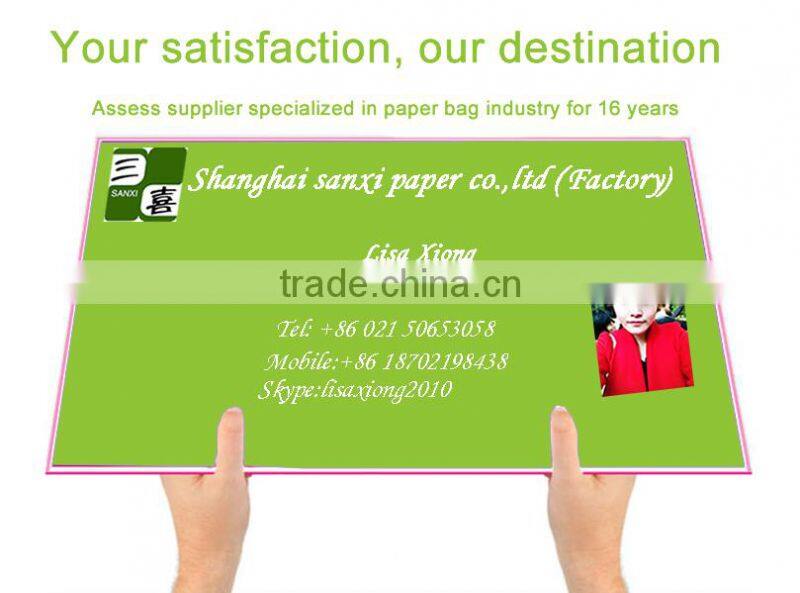 Documents carry paper bag, twisted handle paper carrier bag for documents