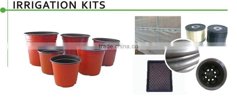 Multi Span Glass Greenhouse for Tomato Production