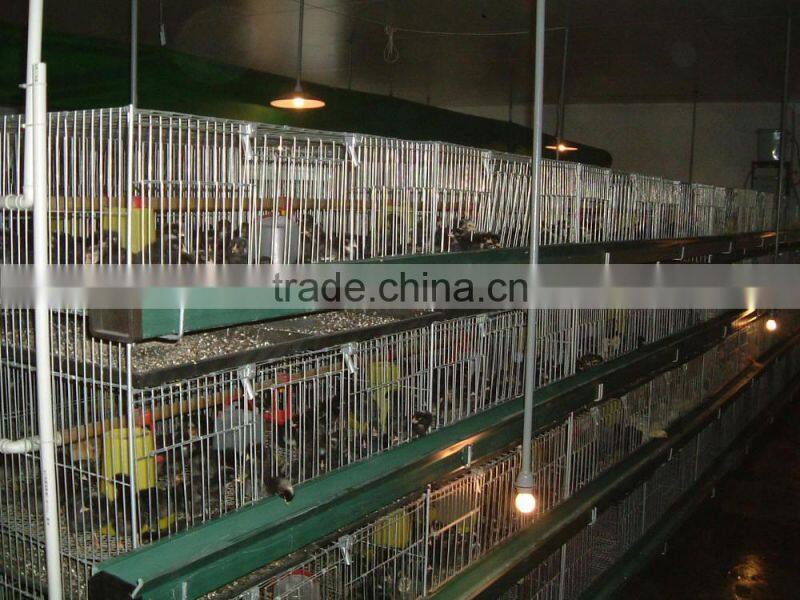 The 3 layer/4layers/5layer Chicken Cage