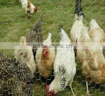 Hexagonal wire mesh rolls/Gabion mesh rolls/Gabion rolls