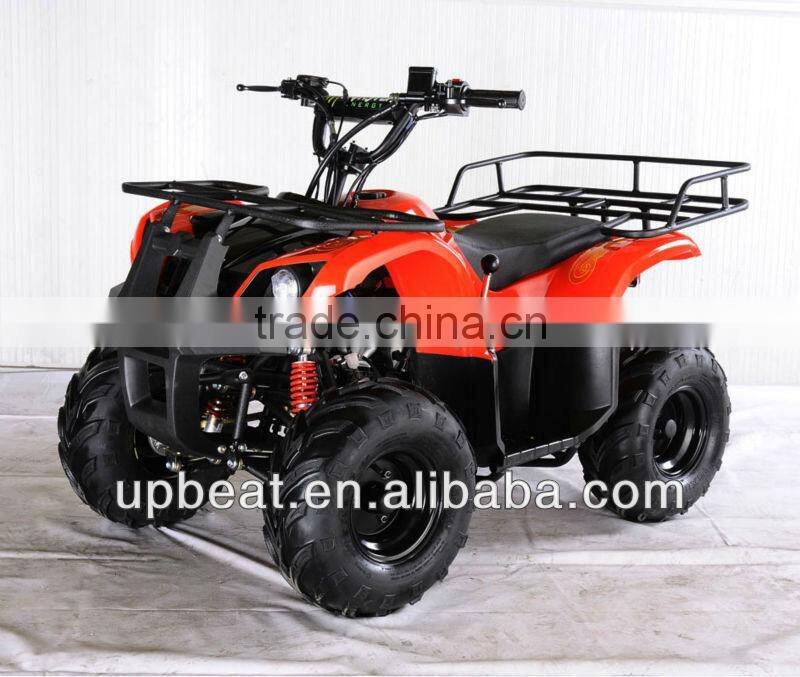 NEW DIRT AUTO QUAD BIKE ATV BUGGY 110cc PEEWEE CYCLONE