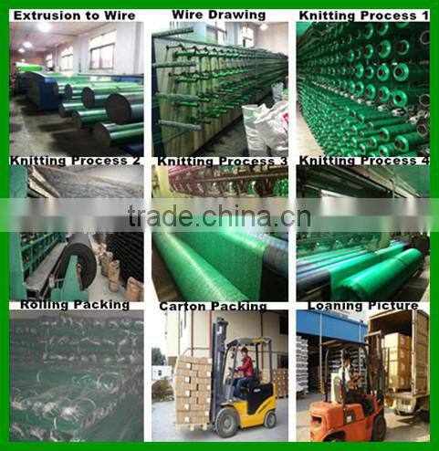 2015 brand new agricultural pe net hdpe bird netting for Vineyard grape planting