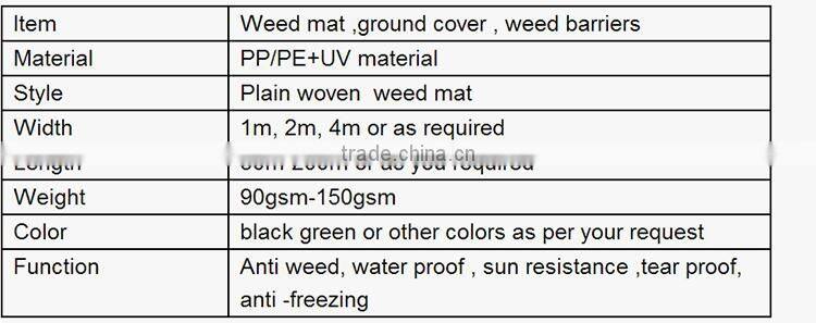 Woven grass geotextile mat