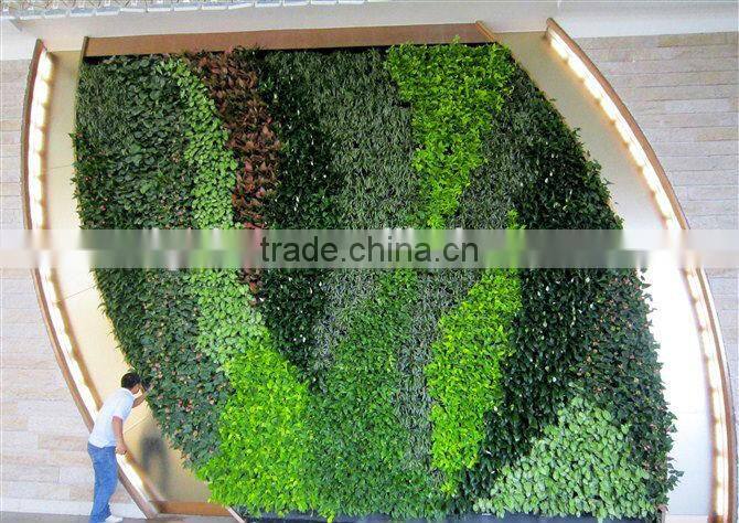 2015 High Quality Factory price Plastic/Artificial Plant Wall decorative wall hanging