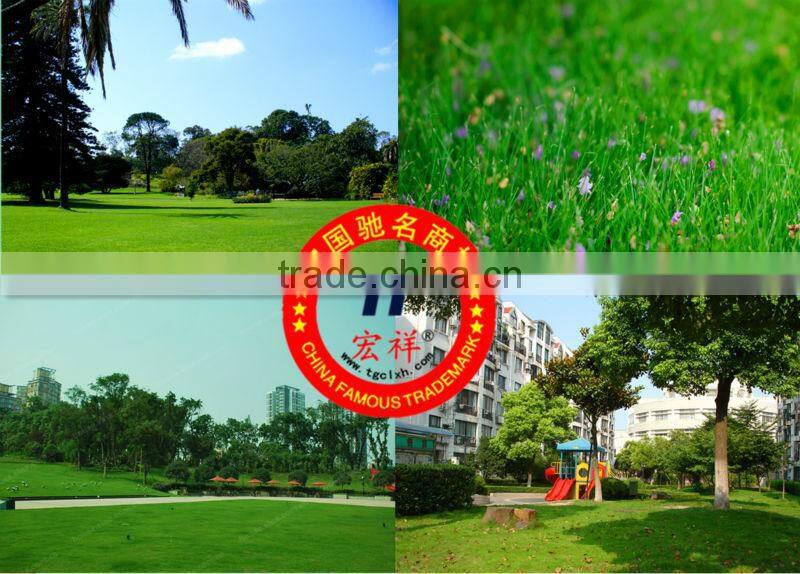 Grass planting plate with the lawn grass planting brick