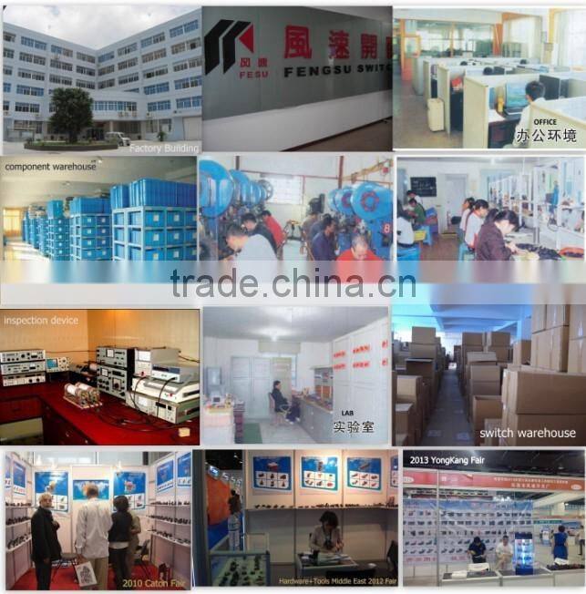 FS027C 110mm marble cutter 4100nh 6A pressure switch