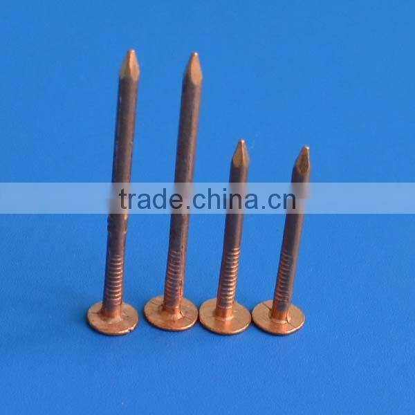 galvanized square boat nails