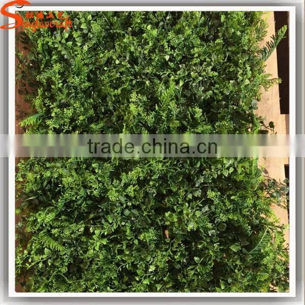 Vertical plant artificial walls plastic green wall garden for sale