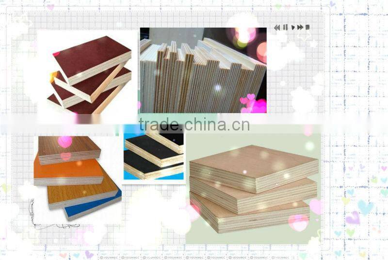 high quality plywood/ commercial plywood / plywood from China manufacturer
