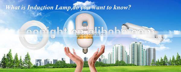 120w low frequency indcution flood light, magnetic induction lighting flood lamp