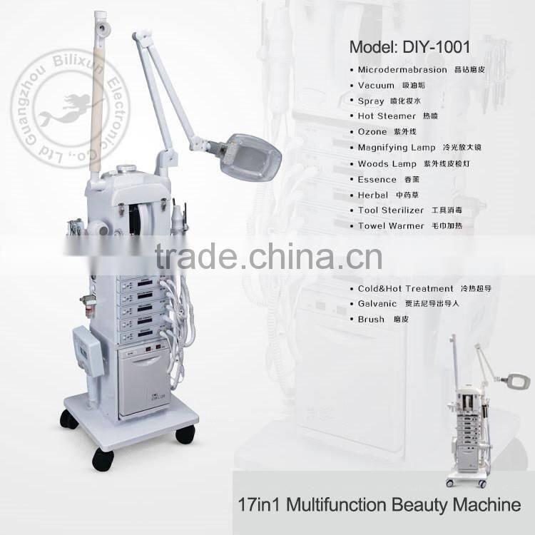 hotsale 17 in 1 multifunction skin care beauty salon machine DIY-1001