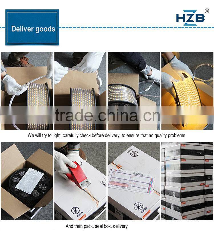 led smd2835 strip christmas light/ for bar decorative light made in china factory