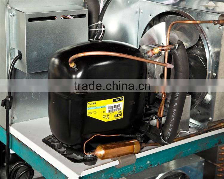 200 - 1600 LITERS DOUBLE GLASS DOOR DISPLAY BEVERAGE MERCHANDISERS