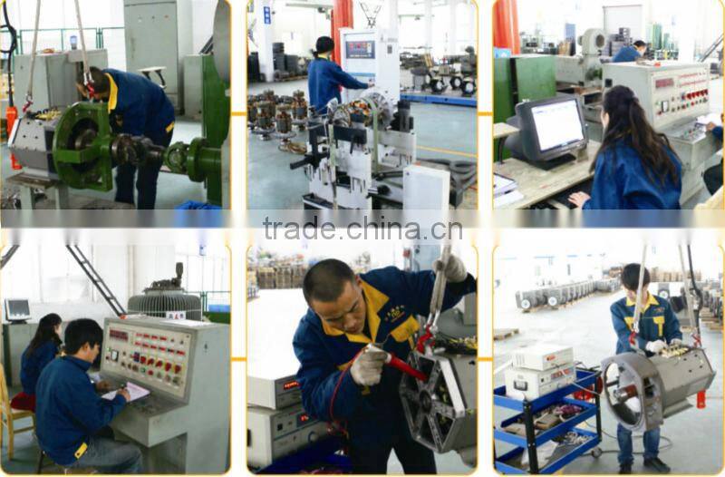 220 volt Dynamo Price