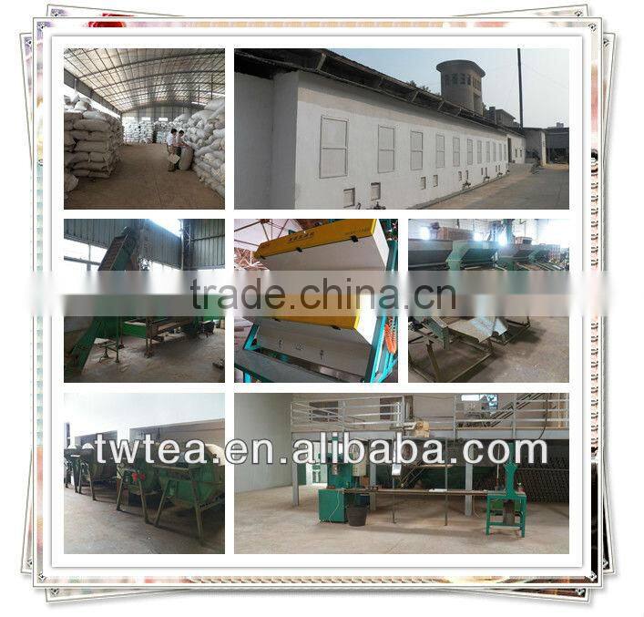 2016 New arrived jasmine tea 01