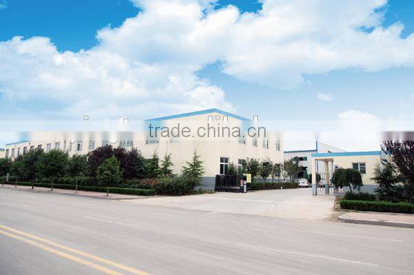 Google made in china hot sale portable dry ice bags