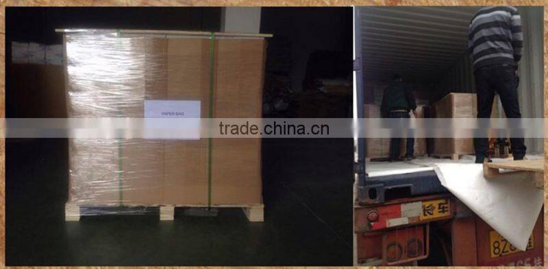 plastic paper bag/cement plastic paper bag/plastic-paper kraft bag