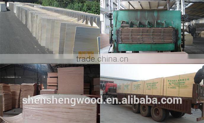 poplar core okume plywood with good price