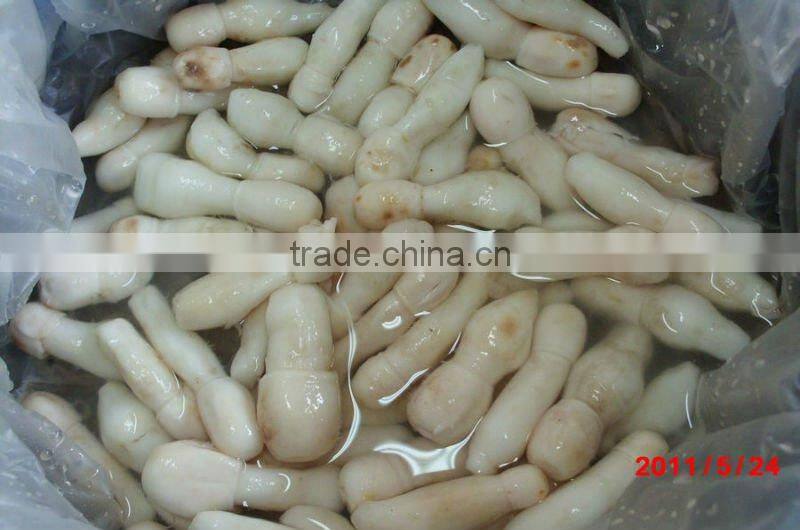 Brined Shiitake Mushroom