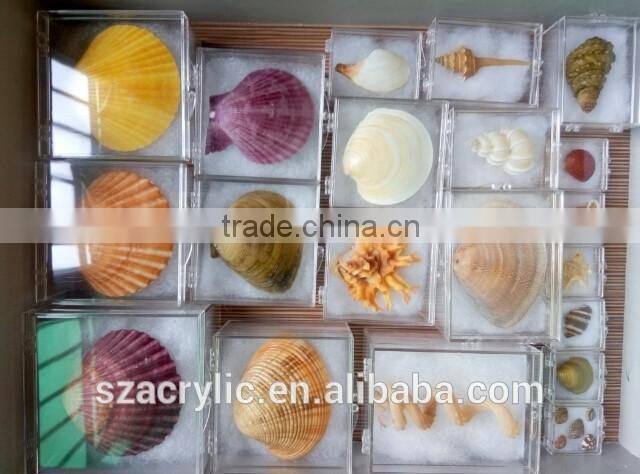 High quality transparent plastic small box storge box wholesale