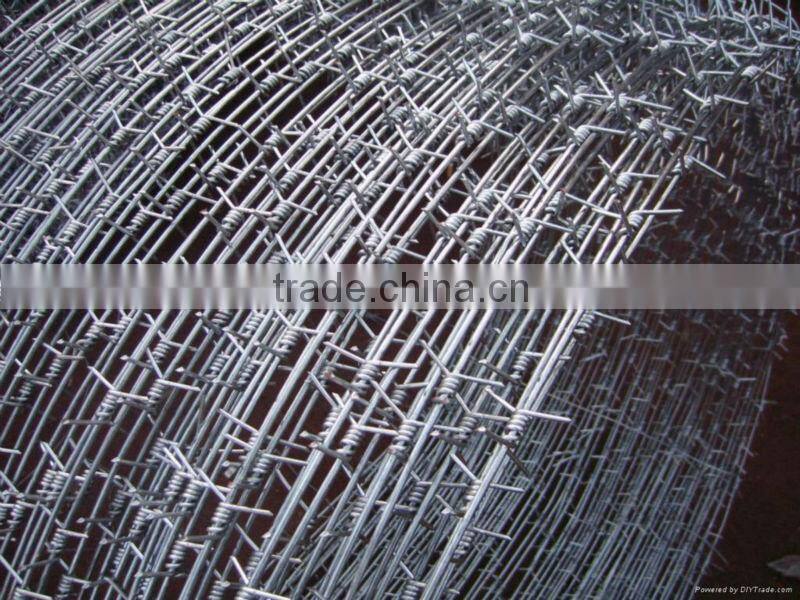 Barbed Wire and Razor Barbed Wire mesh used in metal fence