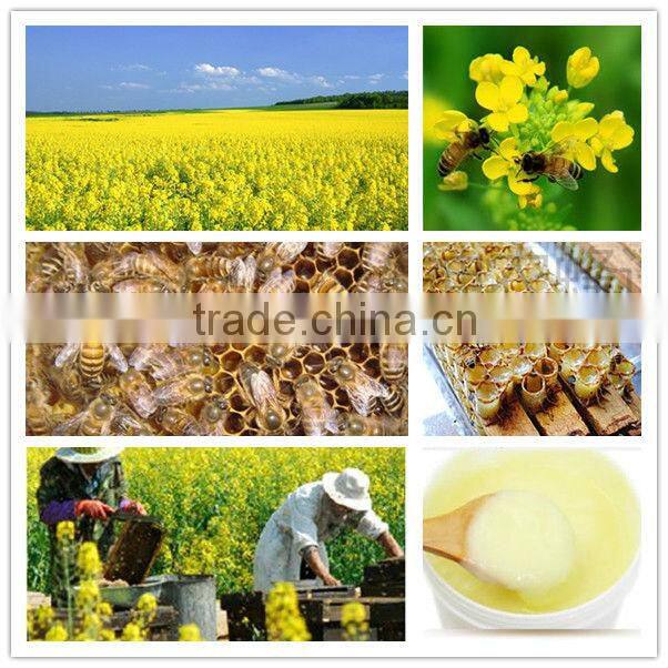 High HDA lowest freight natural organic raw royal Jelly