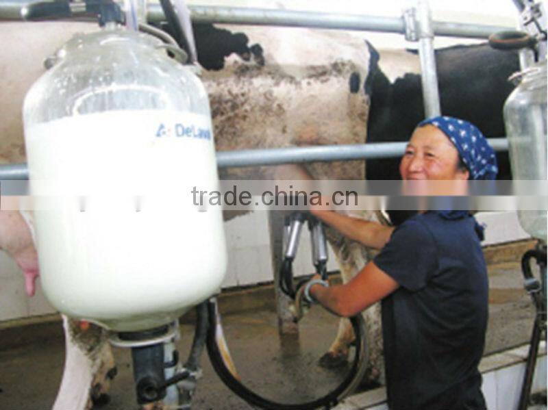 automatic milking machine system of fish-bone type